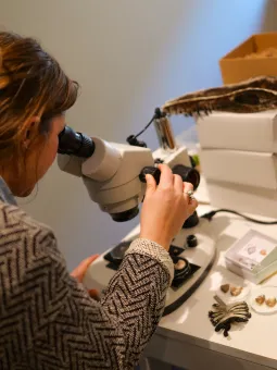 En kvinna kikar på ett fossil i ett mikroskop.