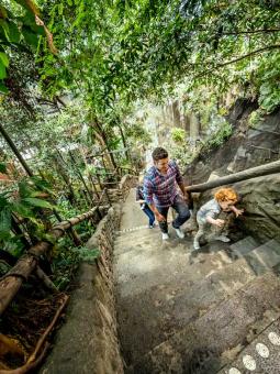 En man och ett barn går upp för trapporna i regnskogen.