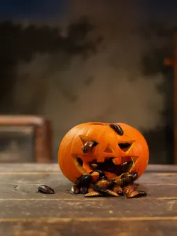 Pumpagömma i Miniverseum.