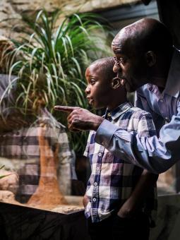 En pappa och hans barn står och pekar in i ett terrarium inne i Reptilariet.