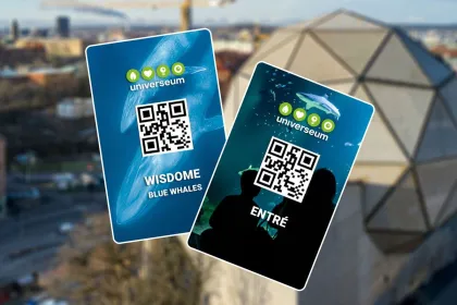 PAKET: Entré + Blue Whales 2D (svenskt tal)