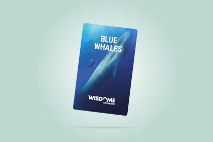 Blue whales 2D