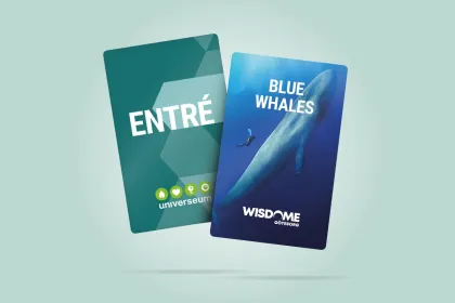 PAKET: Entré + Blue whales 2D