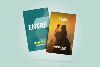 PAKET: Entré + T.REX