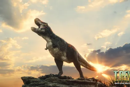 WISDOME: T.REX