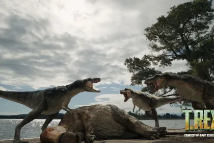 WISDOME: T.REX