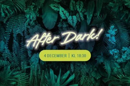 Femmes för framtiden (4 dec)