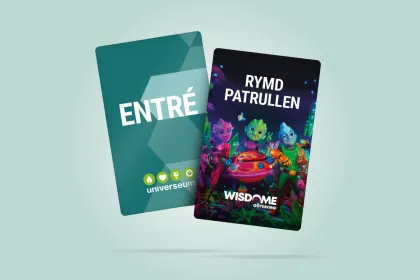 BUNDLE: Admisson  + The Stellars 3D
