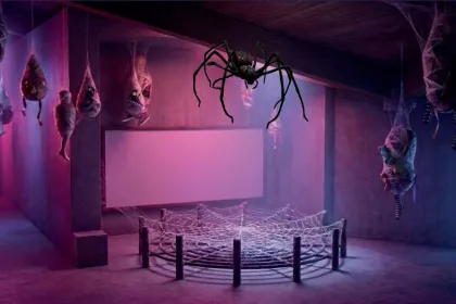 The spider attic