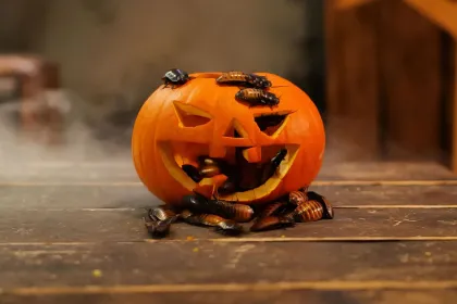 Kompishäng: Pumpagömma! 