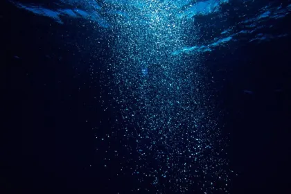 Årskort test inventory