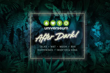 Universeum after dark