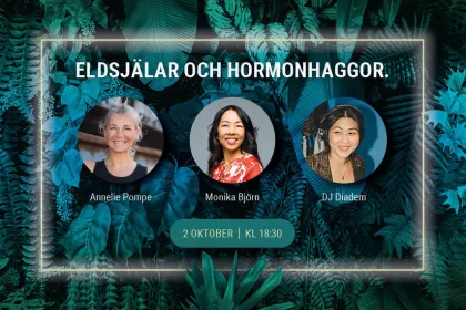 Programpunkter under Eldsjälar och hormonhaggor.