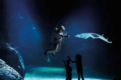 Rymdveckor på Universeum.