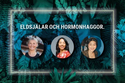 Bild på Annelie Pompe, Monika Björn och DJ Diadem.