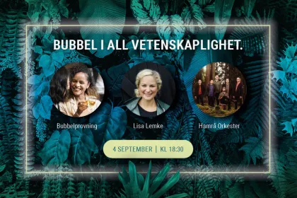 Programpunkter under Bubbel i all vetenskaplighet.