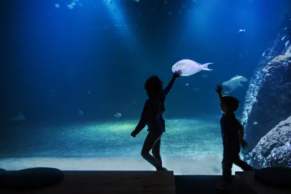 Akvariehallen på Universeum.