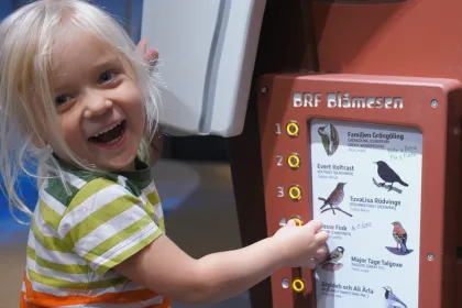 Vem bor i BRF Blåmesen? Ett litet barn utforskar den stora fågelhålken nere i Miniverseum.