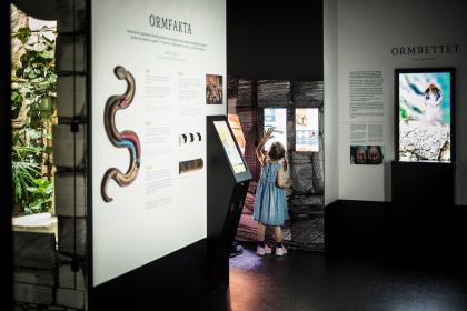 Ett barn utforskar utställningen Reptilariet.