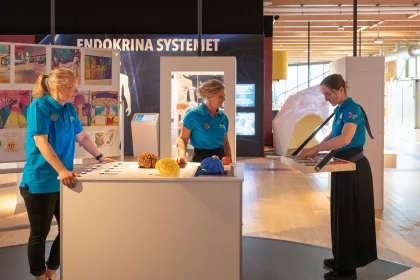 Nyöppning 13 juni: Invigningstal, upplevelser och mingel
