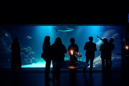 Ett företag är på ett arrangemang på Universeum. De står och tar ett glas vin framför oceantanken inne i Akvariehall.en