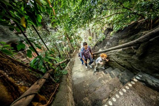 En man och ett barn går upp för trapporna i regnskogen.