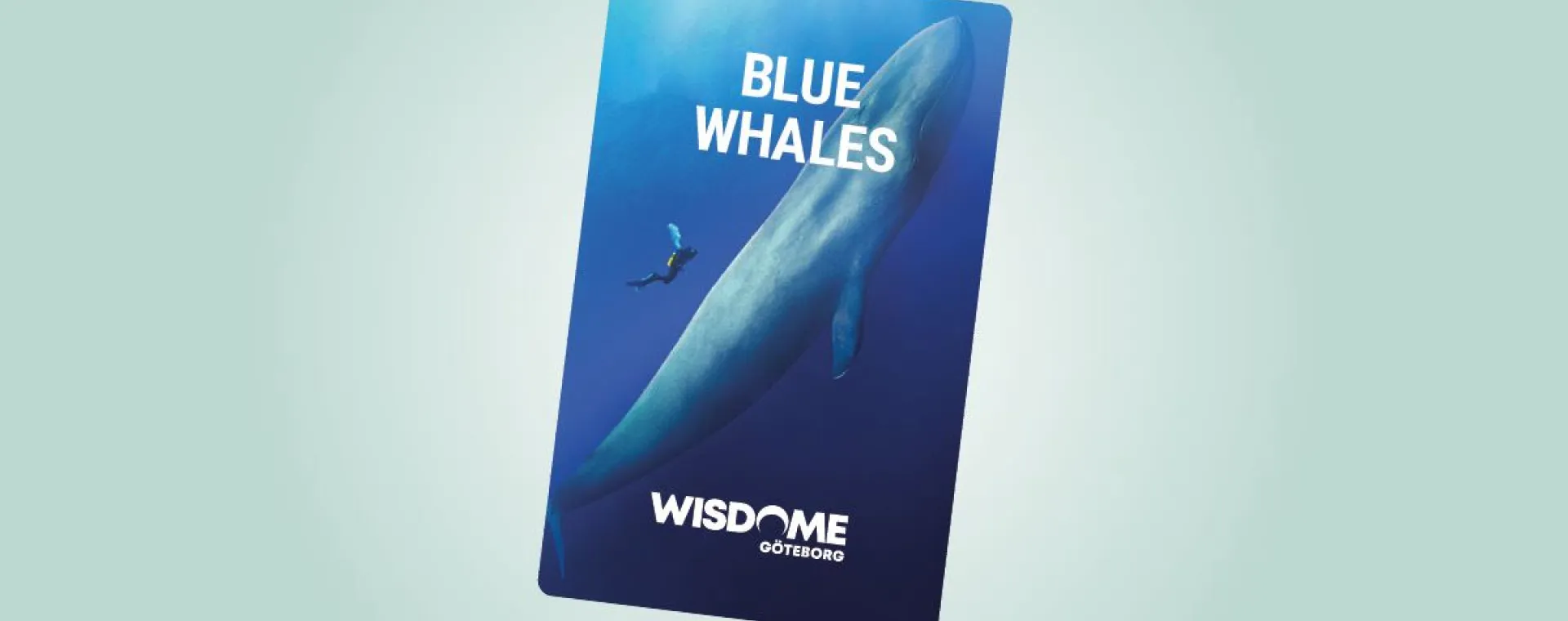 Blue whales