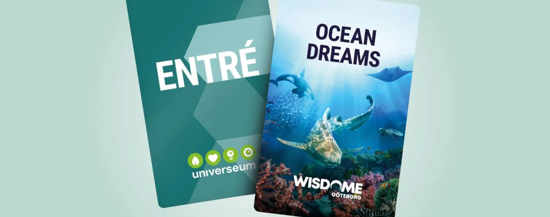 PAKET: Entré + Ocean Dreams