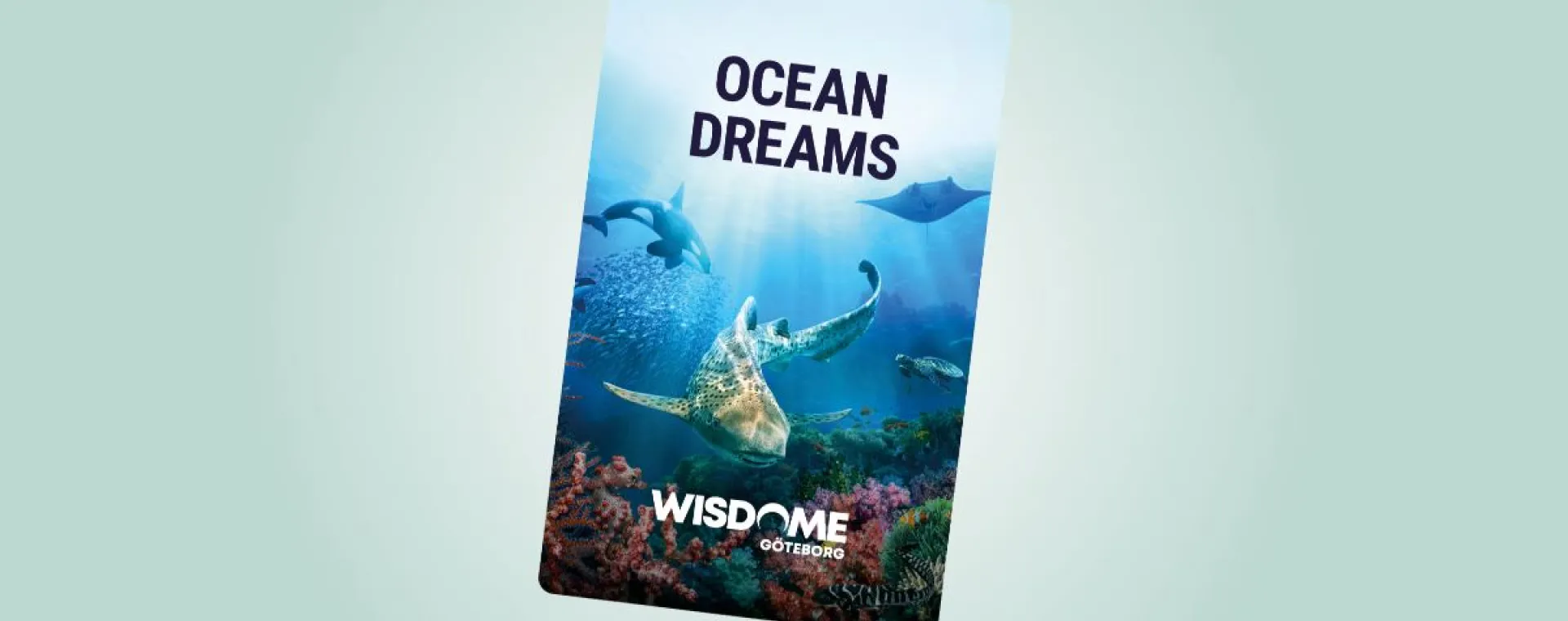 WISDOME: Ocean Dreams 2D