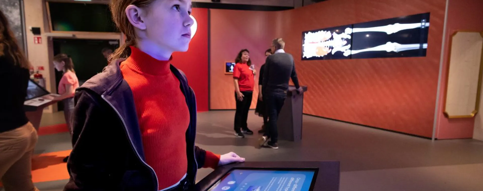 Visualiserad värld