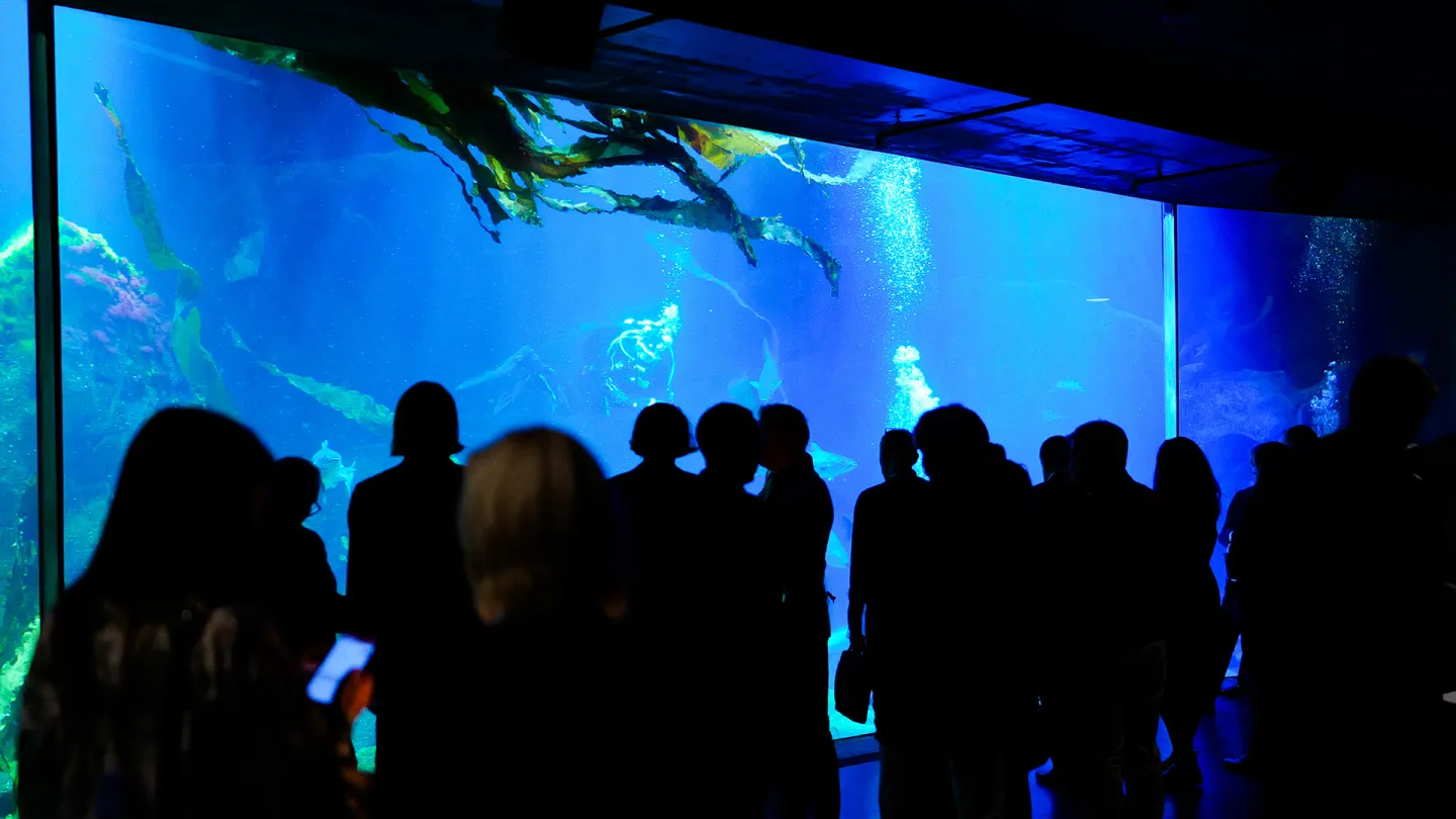 Mingel i Akvariehallen.