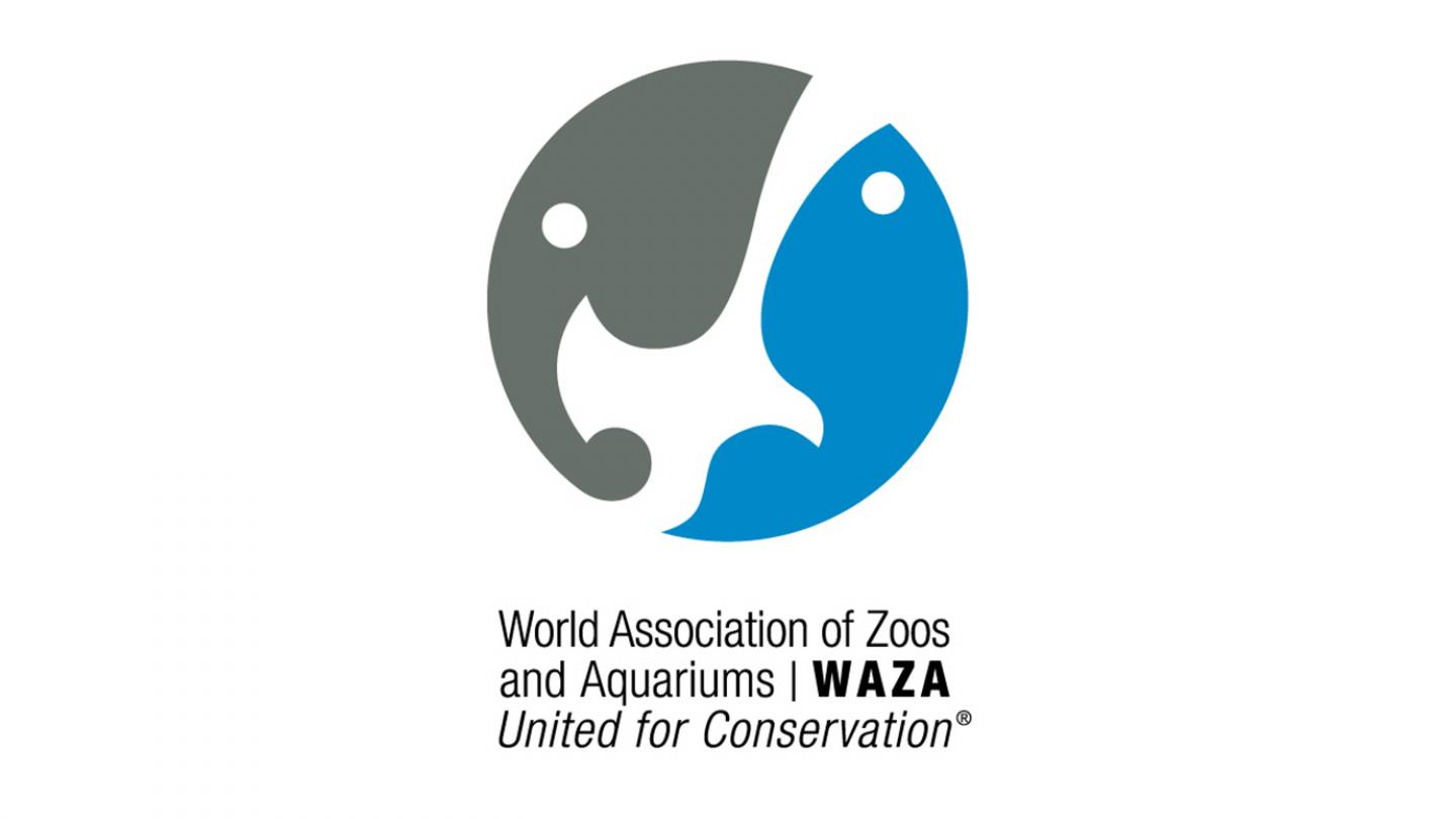 World Association of Zoos and Aquariums (WAZA) är en organisation Universeum samarbetar med.