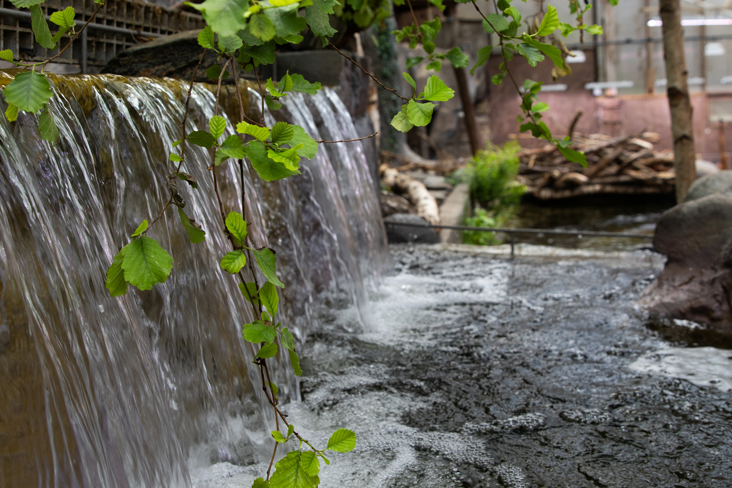 Ett vattenfall i utställningen Vildmarken