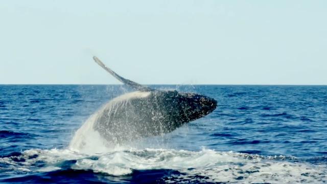 Youtube video image